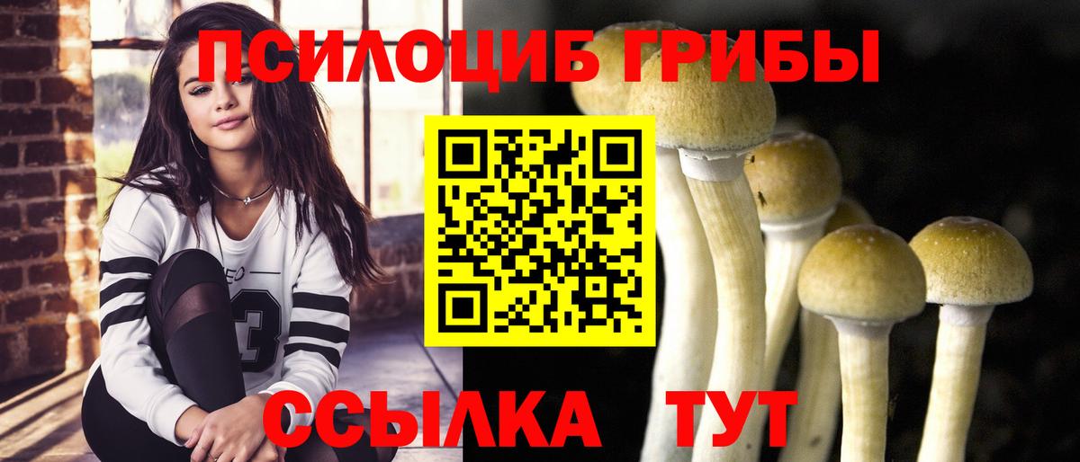 Галлюциногенные грибы Magic Shrooms  Вход с VPN  Галлюциногенные грибы GOLDEN TEACHER  купить закладку  Губкинский 